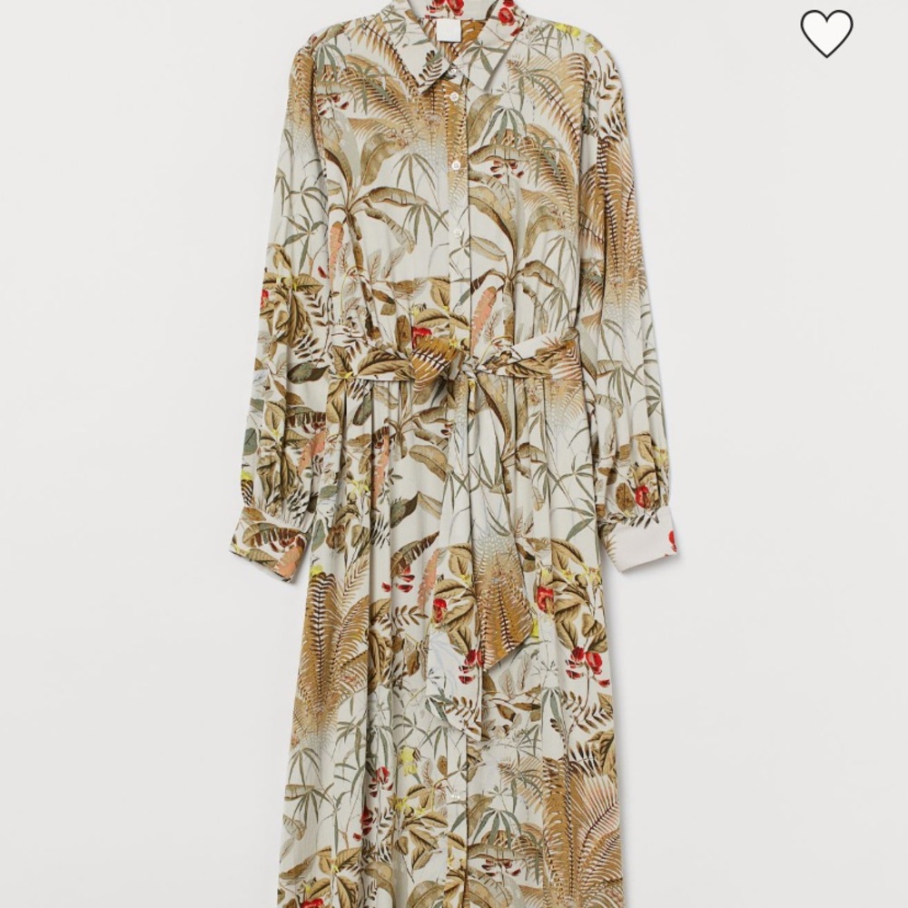 Beautiful Printed H&M Button Down Midi Dress